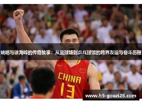 姚明与徐海峰的传奇故事：从篮球场到乒乓球馆的跨界友谊与奋斗历程